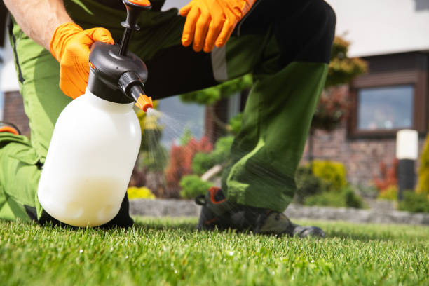 Best Best Pest Control Companies  in Ranlo, NC