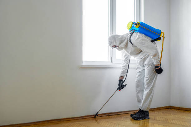 Best Pest Inspection Near Me  in Ranlo, NC