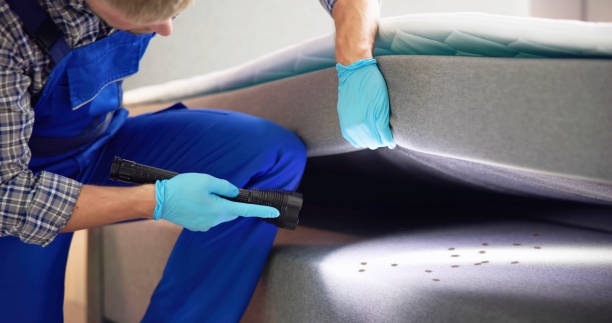 Best Pest Control Near Me  in Ranlo, NC