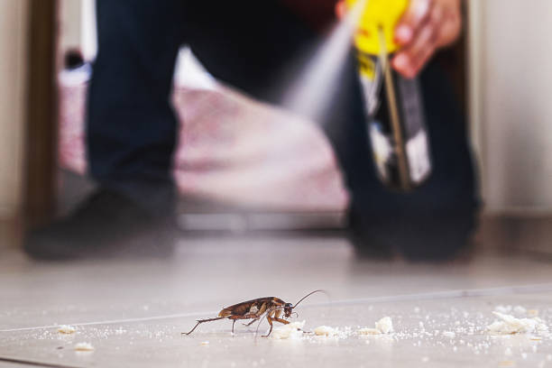 Best Pest Prevention Services  in Ranlo, NC