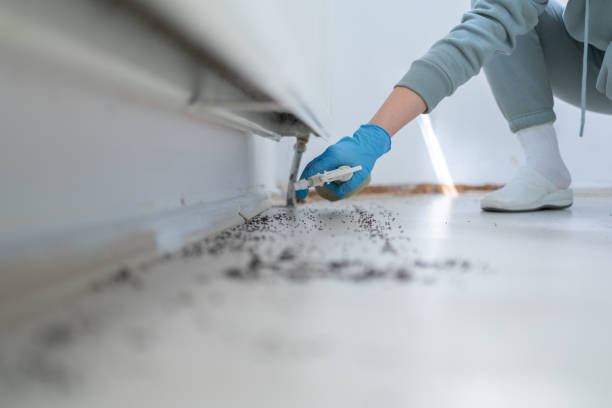 Reliable Ranlo, NC Pest Control Solutions